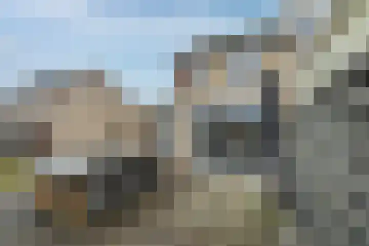 Bonte Specht 44 Emmen thumbnail 36