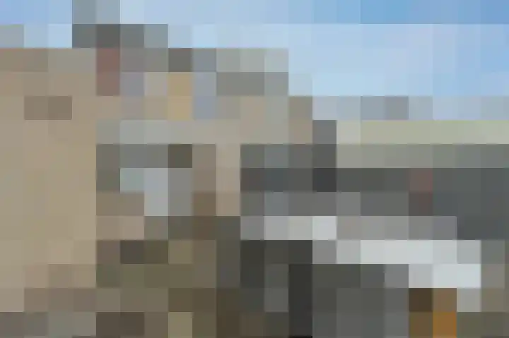 Bonte Specht 44 Emmen thumbnail 37