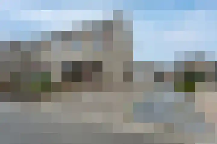 Bonte Specht 44 Emmen thumbnail 38