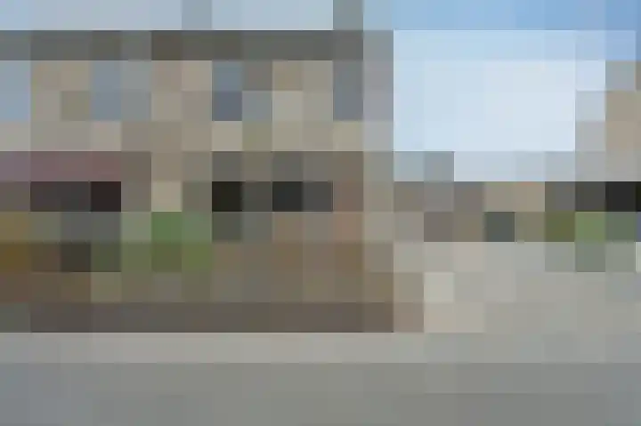 Bonte Specht 44 Emmen thumbnail 39