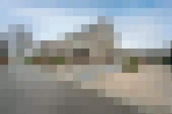 Bonte Specht 44 Emmen thumbnail 40