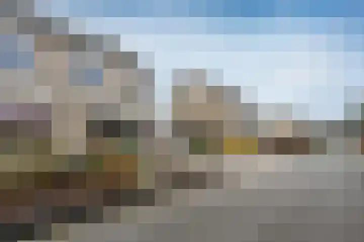 Bonte Specht 44 Emmen thumbnail 41