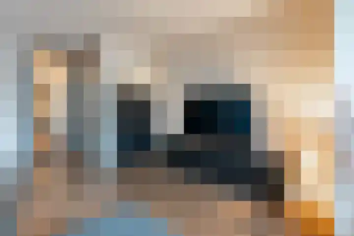 Bonte Specht 44 Emmen thumbnail 8