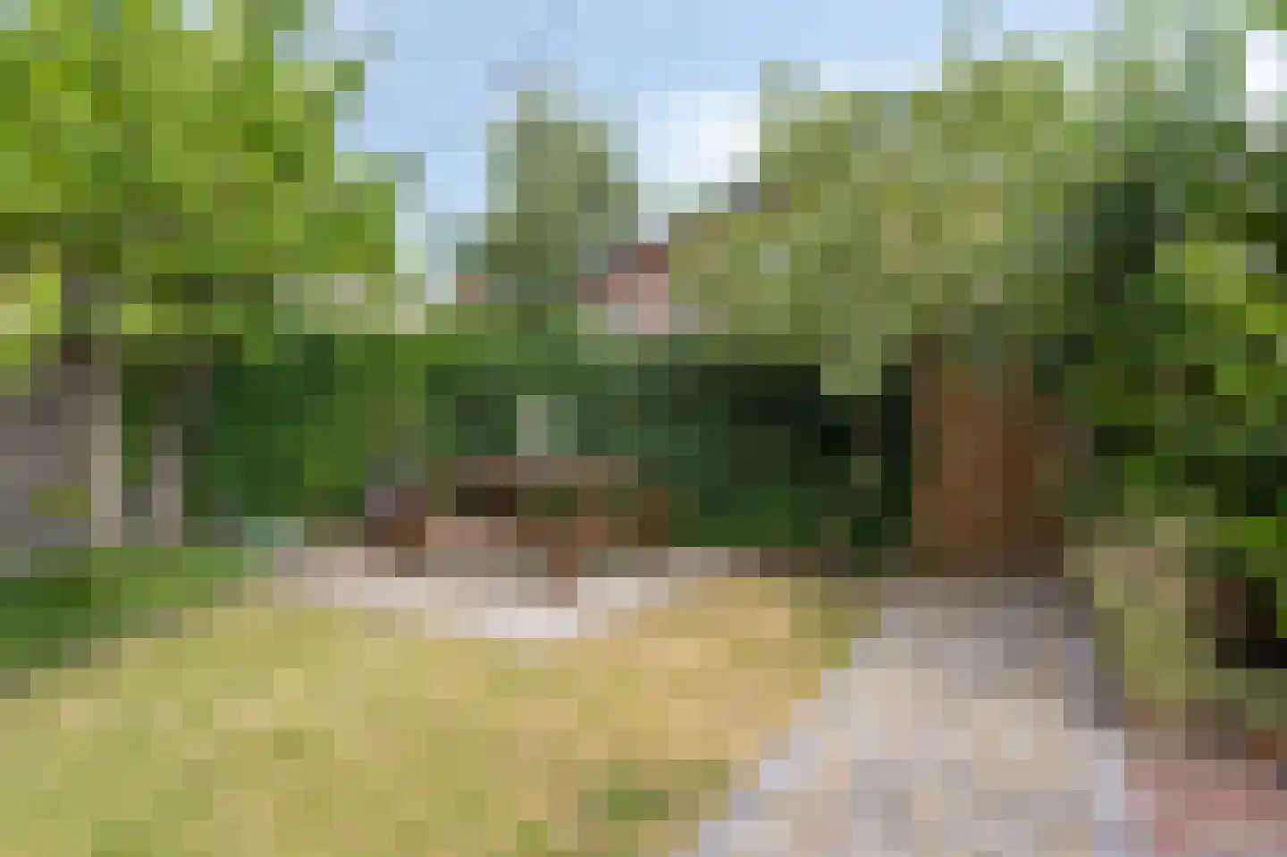 Bonte Wetering 53 Arnhem thumbnail 21