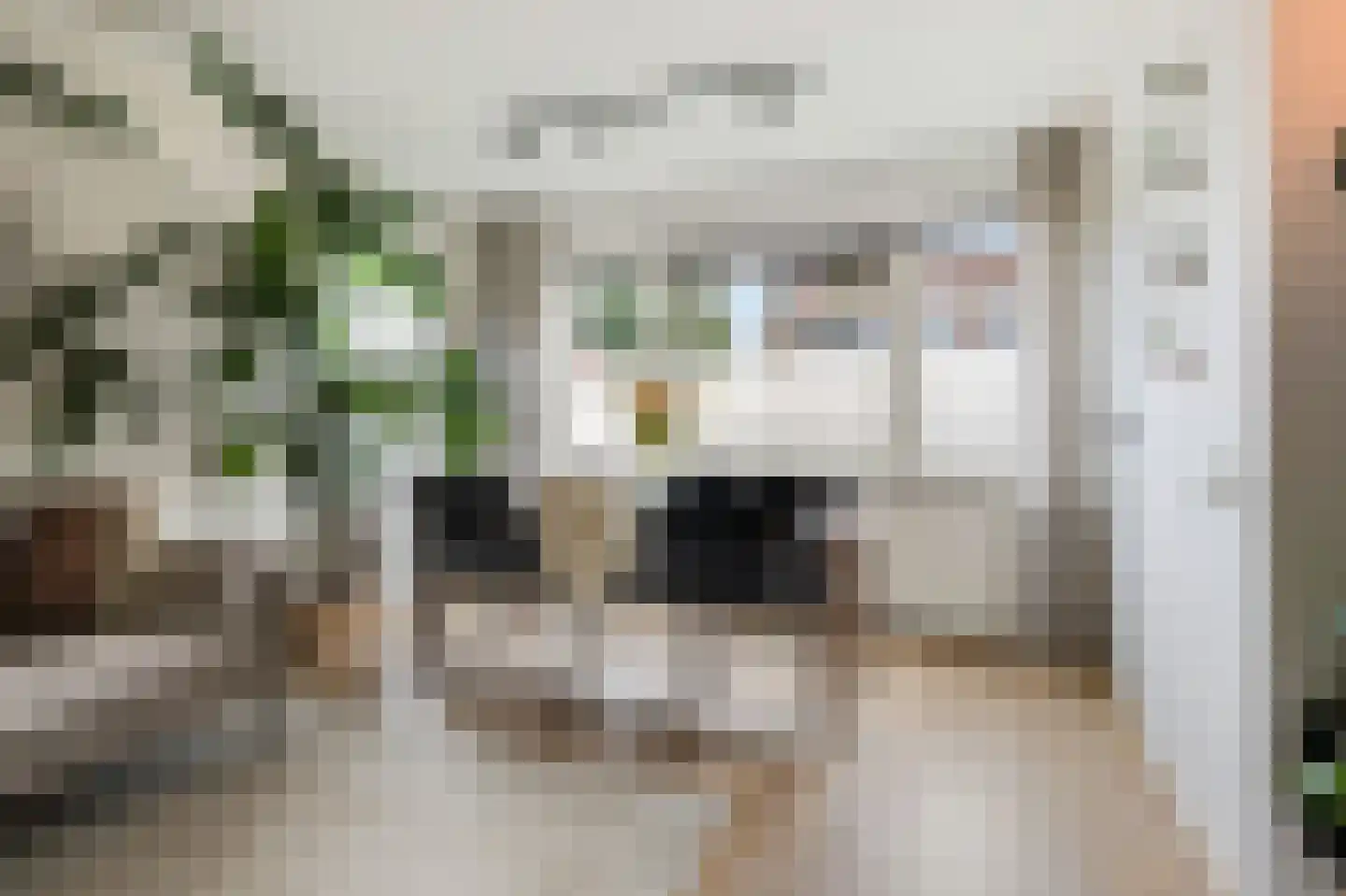 Bonte Wetering 53 Arnhem thumbnail 4
