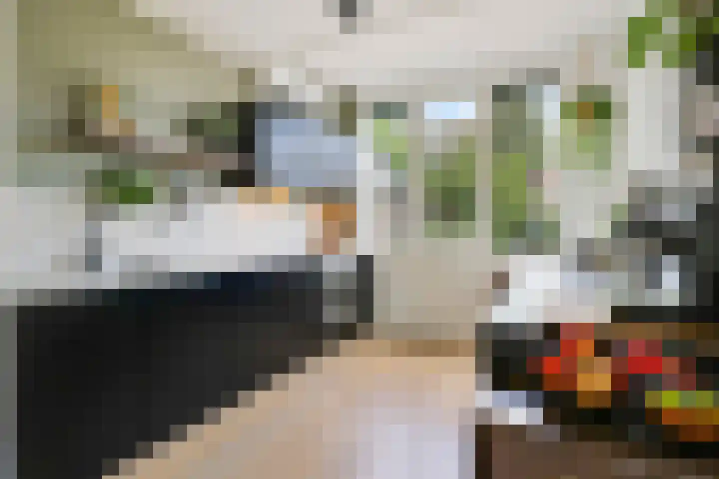 Bonte Wetering 53 Arnhem thumbnail 7