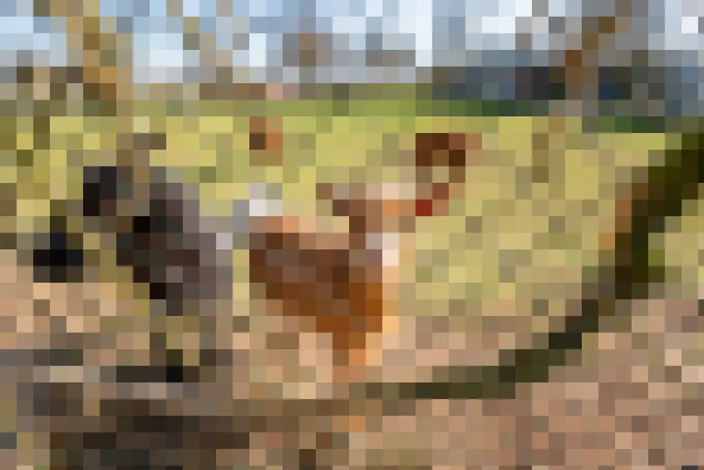 Bontebrug 11 Silvolde thumbnail 51
