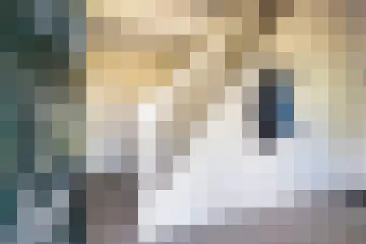 Bontebrug 170 Silvolde thumbnail 7