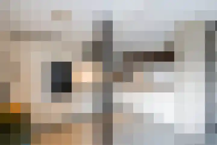 Bontekamp 23 Dalfsen thumbnail 16