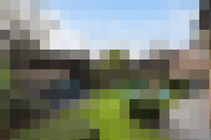 Bontekamp 23 Dalfsen thumbnail 34