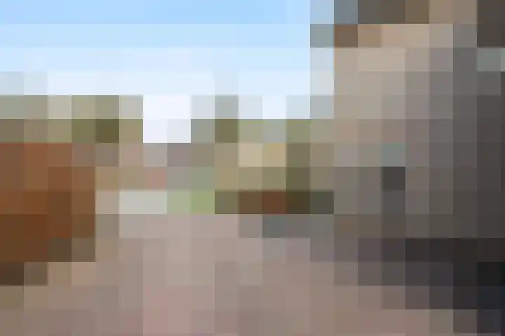 Bontekamp 23 Dalfsen thumbnail 5