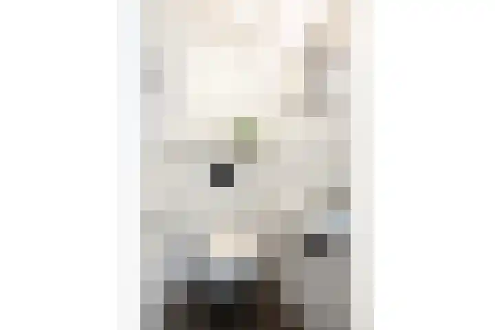 Bontekamp 23 Dalfsen thumbnail 8