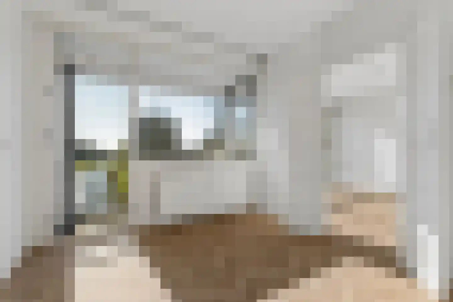 Bontekoestraat 15 2 Arnhem thumbnail 5