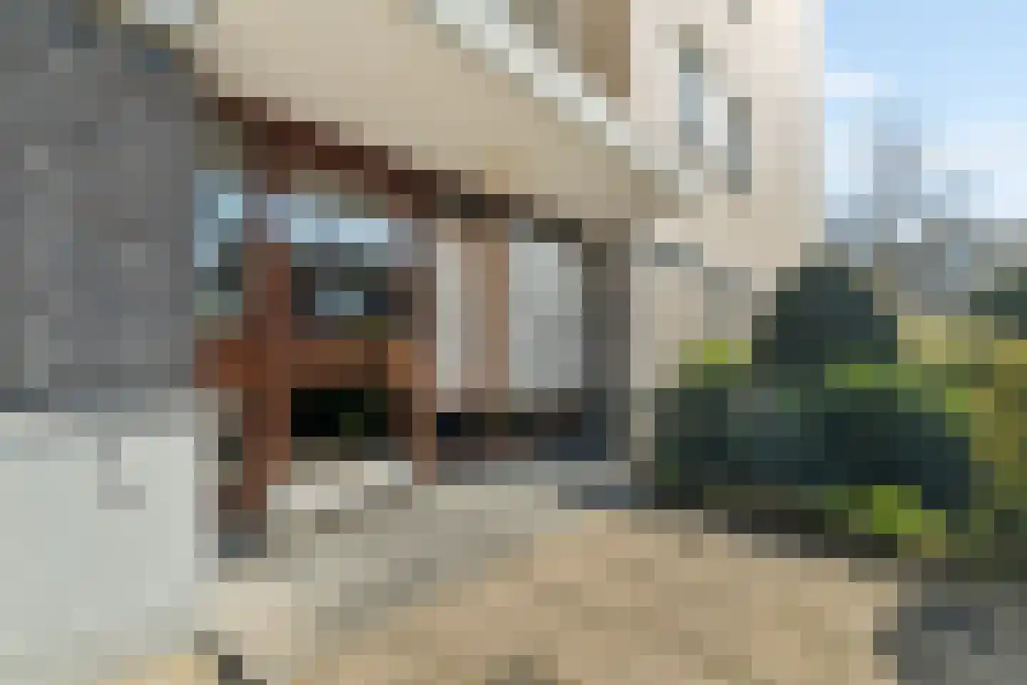 Bontekoestraat 15 2 Arnhem thumbnail 6