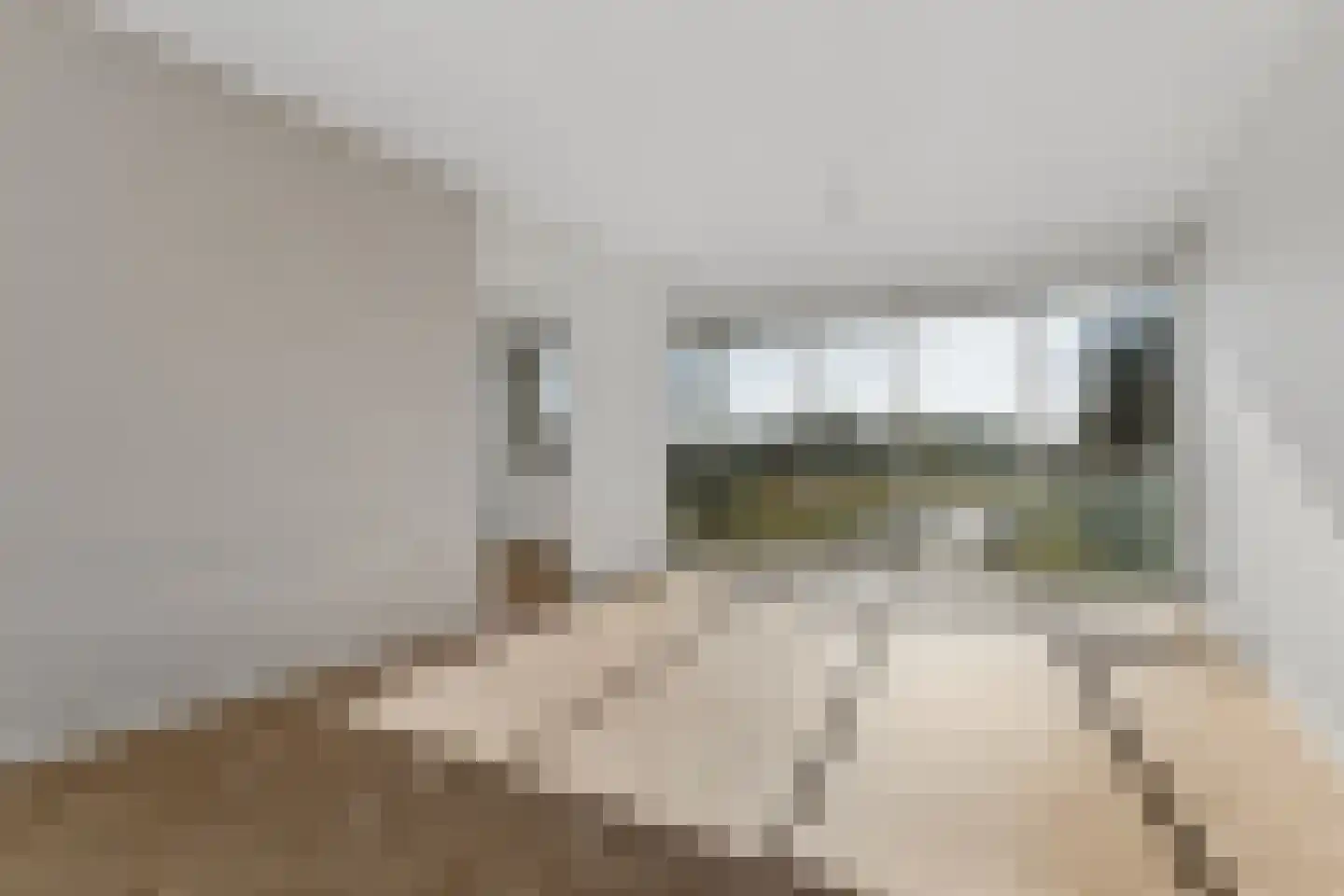 Bontekoestraat 15 2 Arnhem thumbnail 8