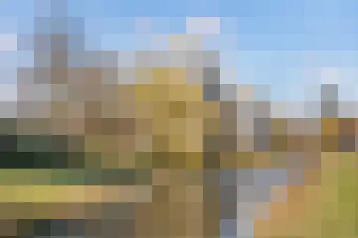 Bontekoestraat 17 6 Arnhem foto 2