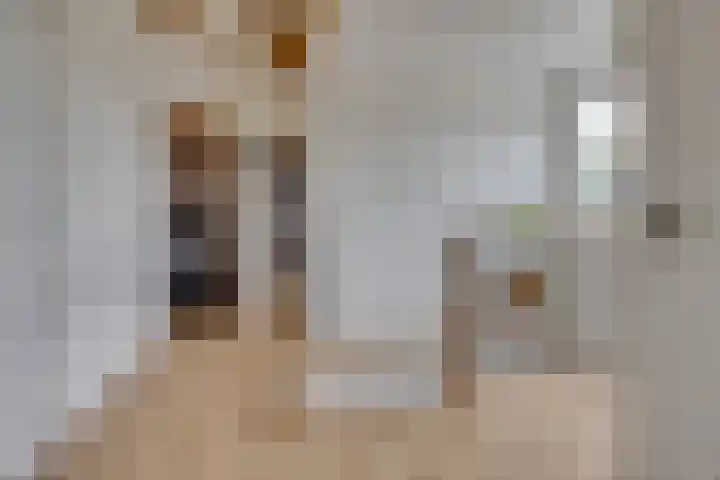 Bontekoestraat 17 Rhenen thumbnail 31