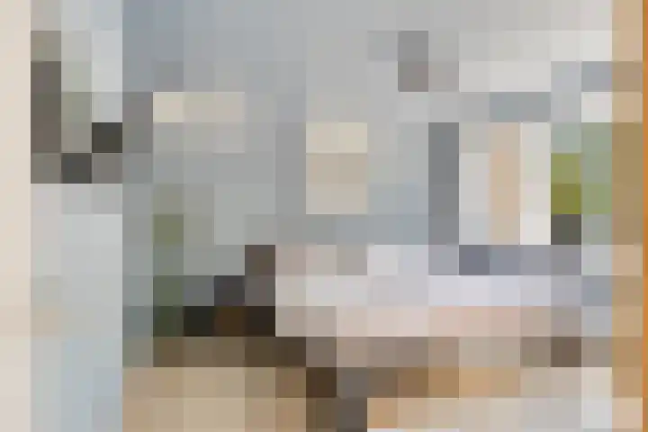 Bontekoestraat 18 Drunen thumbnail 15