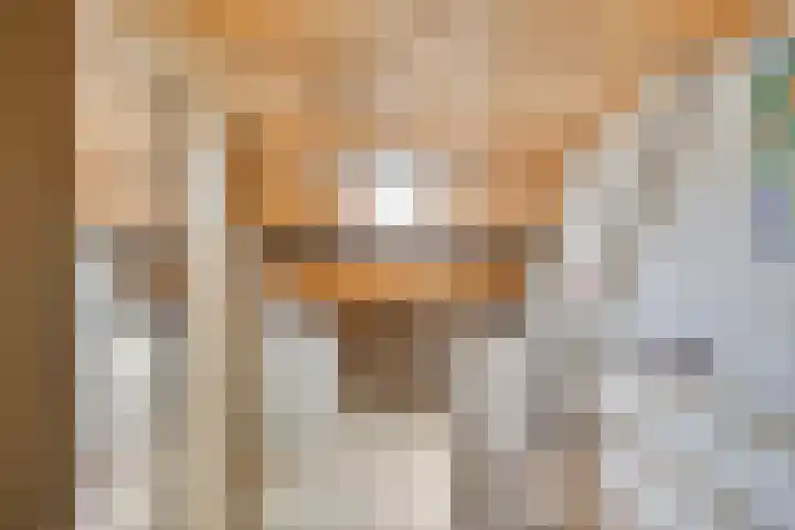 Bontekoestraat 18 Drunen thumbnail 27