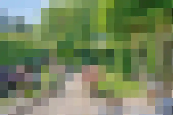 Bontekoestraat 18 Drunen thumbnail 29