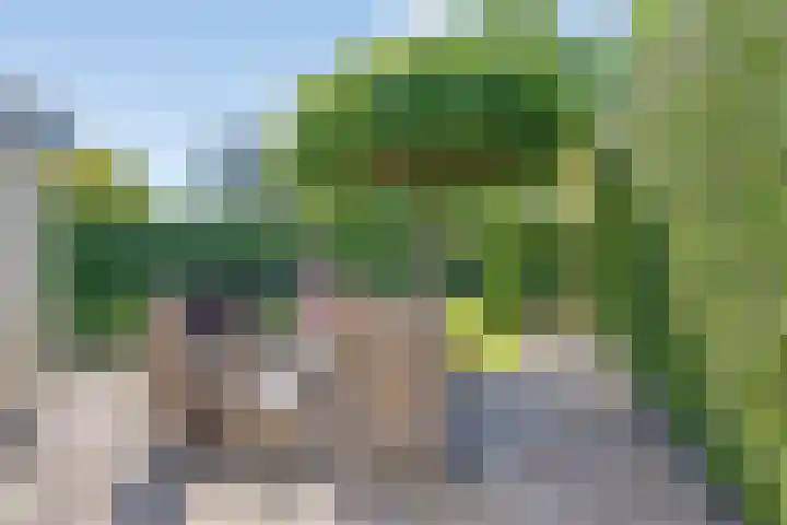 Bontekoestraat 18 Drunen thumbnail 30