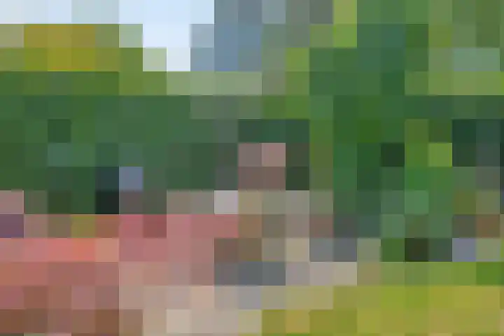 Bontekoestraat 18 Drunen thumbnail 31