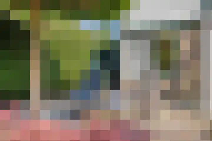Bontekoestraat 18 Drunen thumbnail 32