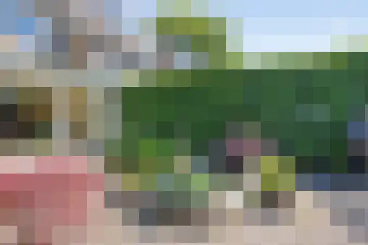 Bontekoestraat 18 Drunen thumbnail 33