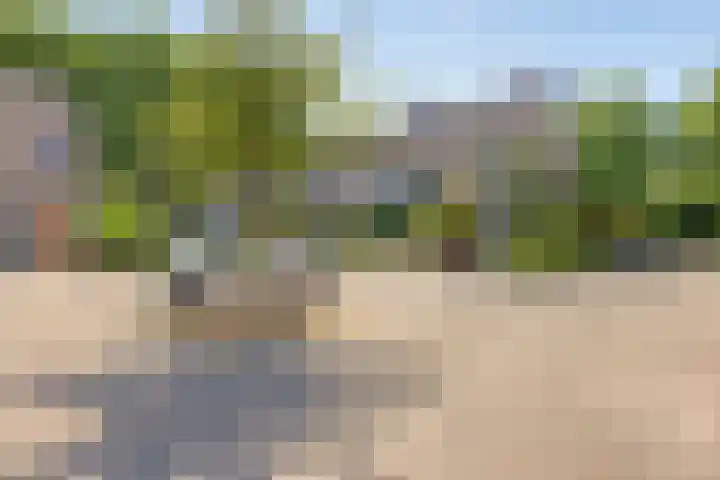 Bontekoestraat 18 Drunen thumbnail 36