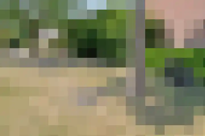 Bontekoestraat 18 Drunen thumbnail 37