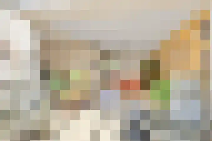 Bontekoestraat 18 Drunen thumbnail 8