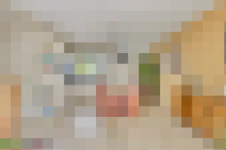 Bontekoestraat 18 Drunen thumbnail 9