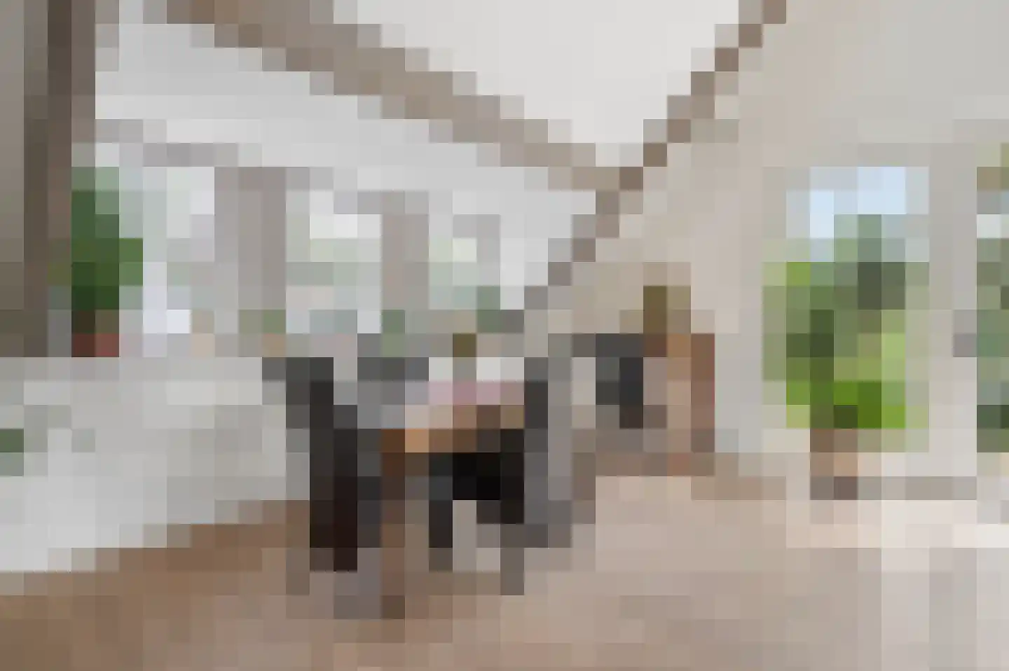 Bontekoestraat 21 Rhenen thumbnail 12