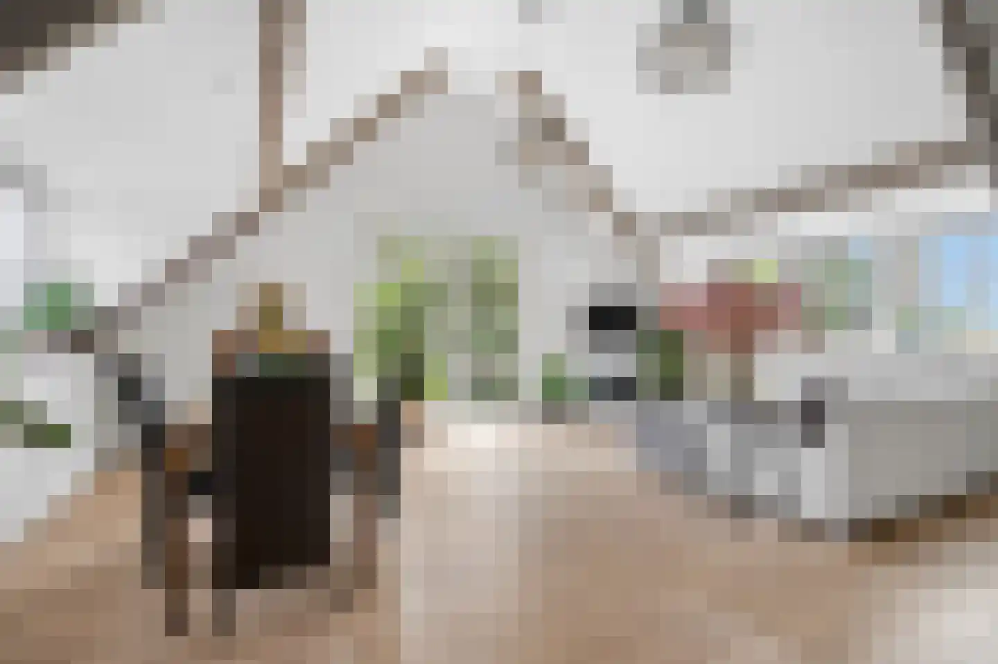 Bontekoestraat 21 Rhenen thumbnail 14