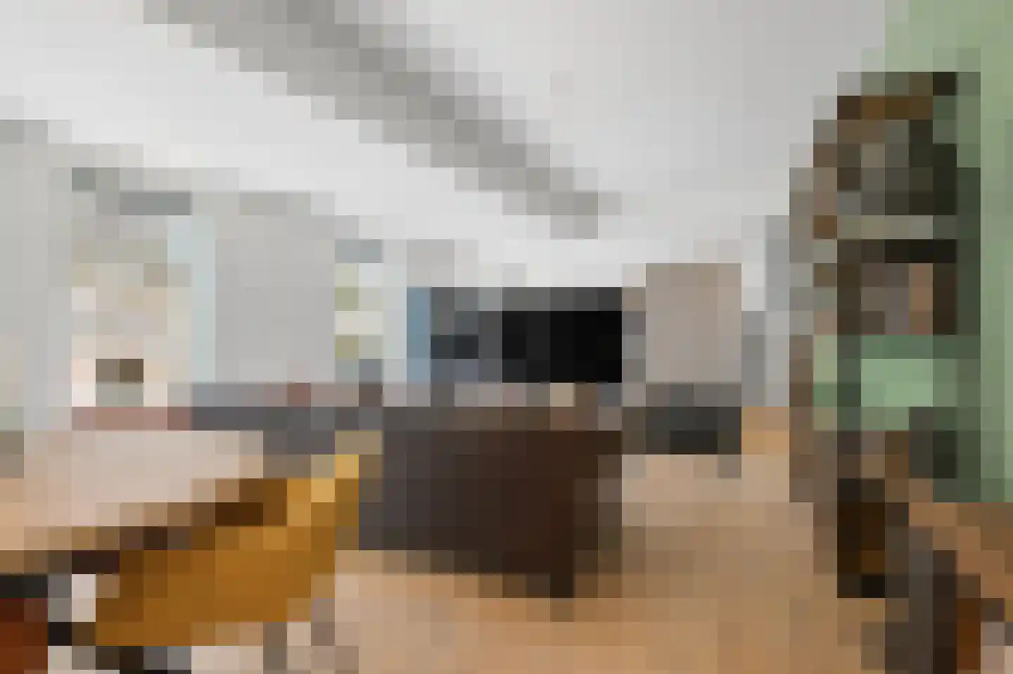 Bontekoestraat 21 Rhenen thumbnail 34
