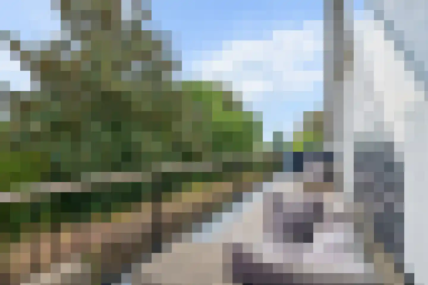 Bontekoestraat 21 Rhenen thumbnail 4
