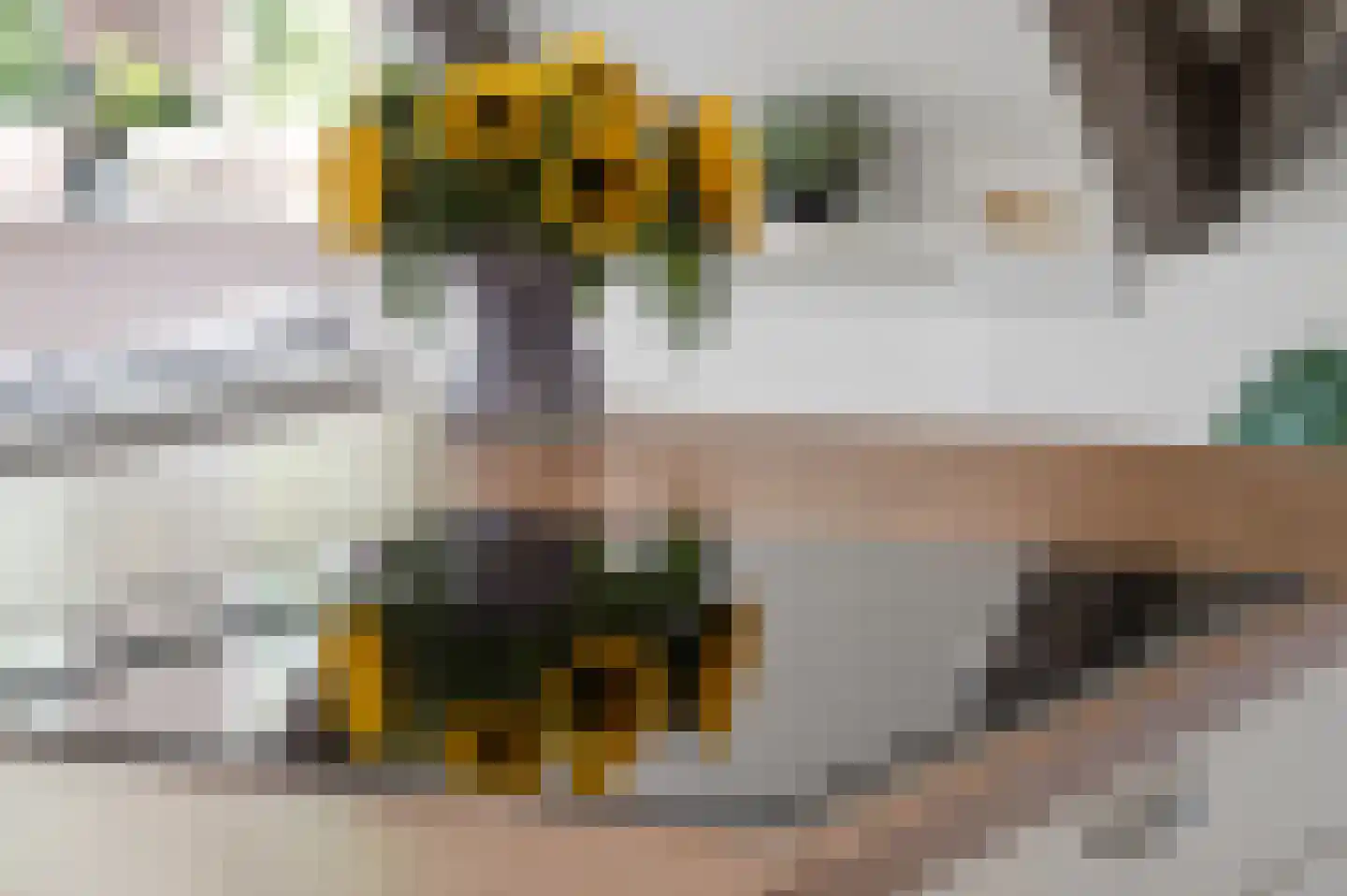 Bontekoestraat 21 Rhenen thumbnail 9