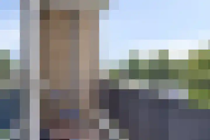 Bontekoestraat 27 4 Arnhem thumbnail 18