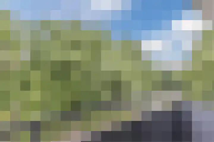 Bontekoestraat 3 4 Arnhem thumbnail 25