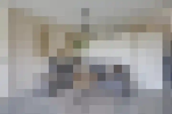 Bontekoestraat 5 6 Arnhem thumbnail 20