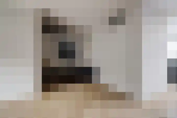 Bontekoestraat 57 Veenendaal thumbnail 12