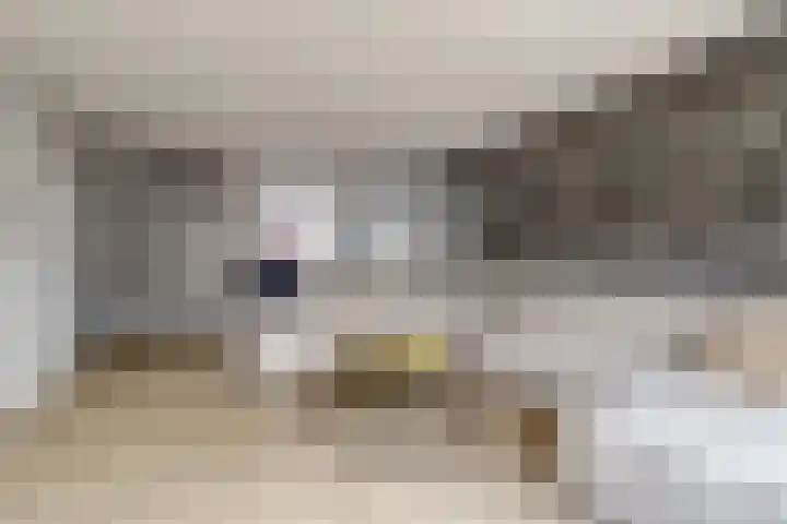 Bontekoestraat 57 Veenendaal thumbnail 13