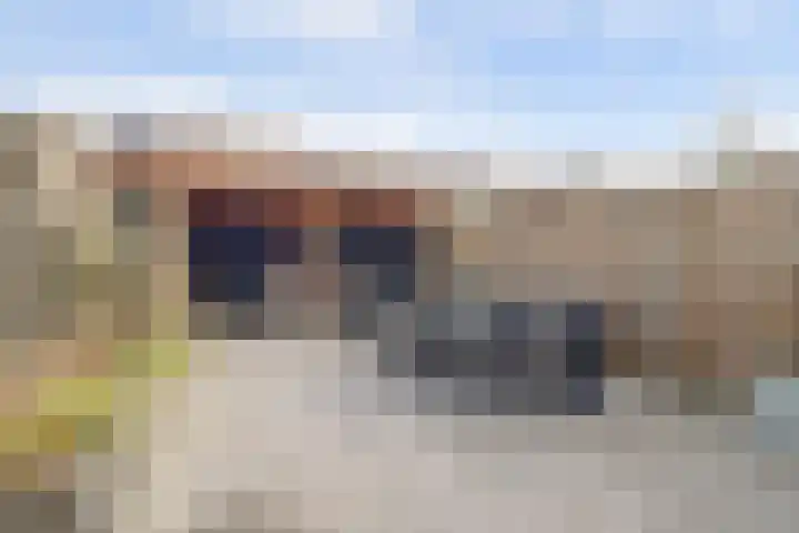 Bontekoestraat 57 Veenendaal thumbnail 55