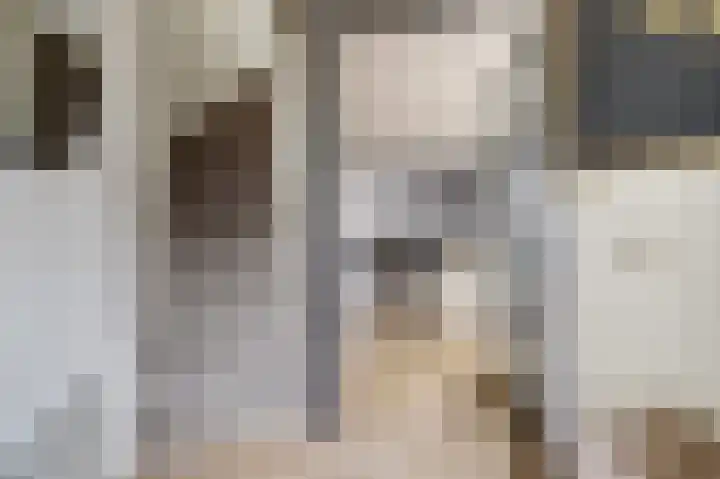 Bontekoestraat 57 Veenendaal thumbnail 8