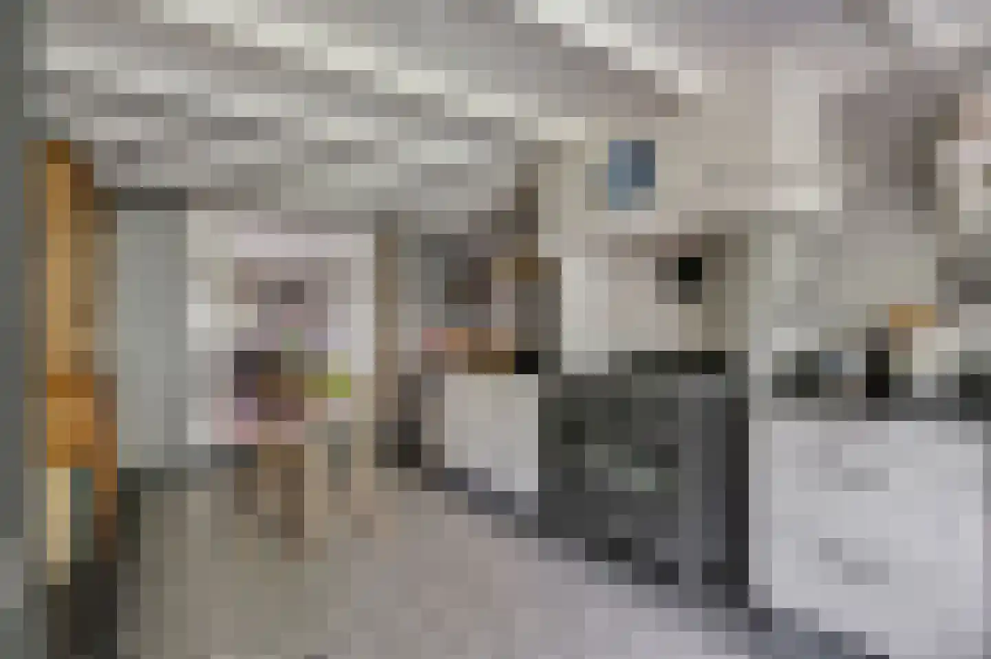 Bontemorgen 14 Lienden thumbnail 15