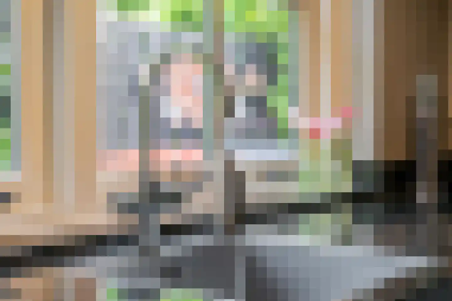 Bontemorgen 14 Lienden thumbnail 17