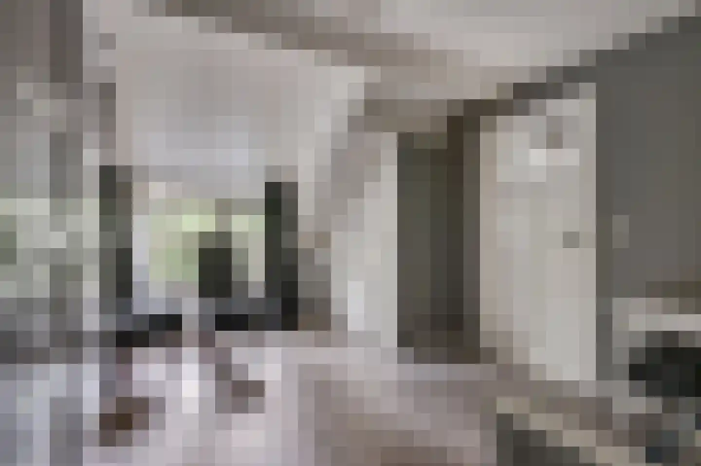 Bontemorgen 14 Lienden thumbnail 27
