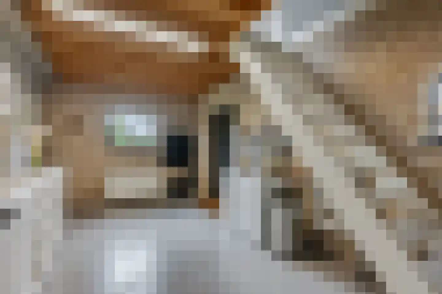 Bontemorgen 14 Lienden thumbnail 35