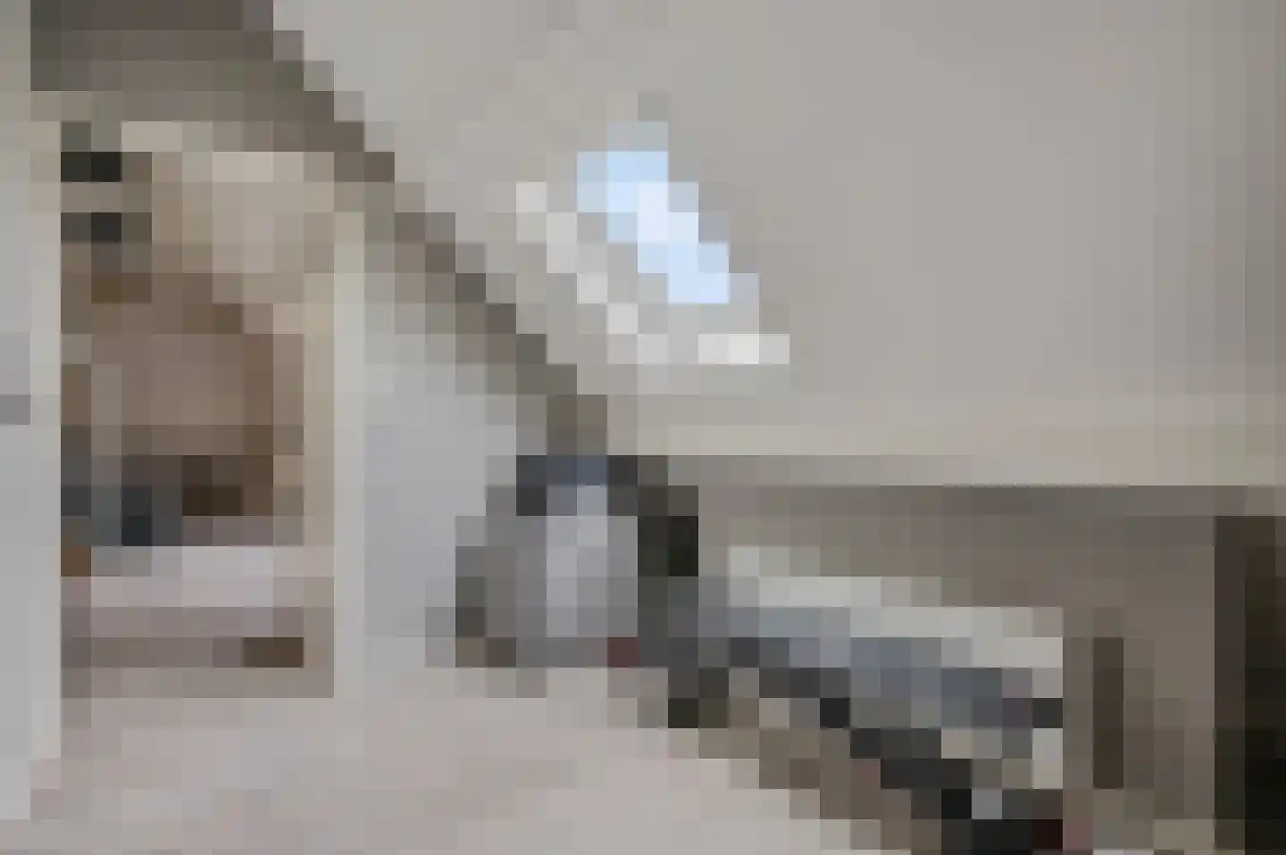 Bontemorgen 14 Lienden thumbnail 38