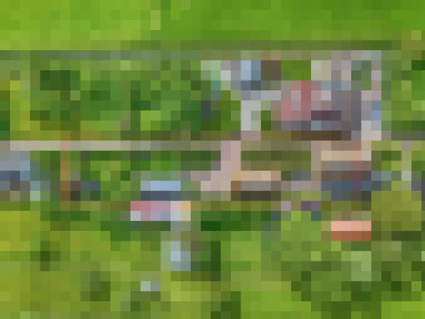 Bontemorgen 14 Lienden thumbnail 4